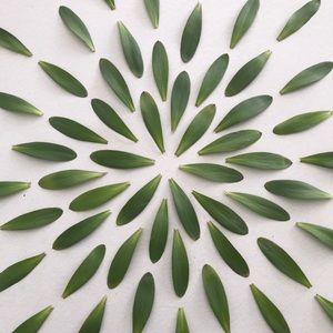 Meet your Posher, Teresa